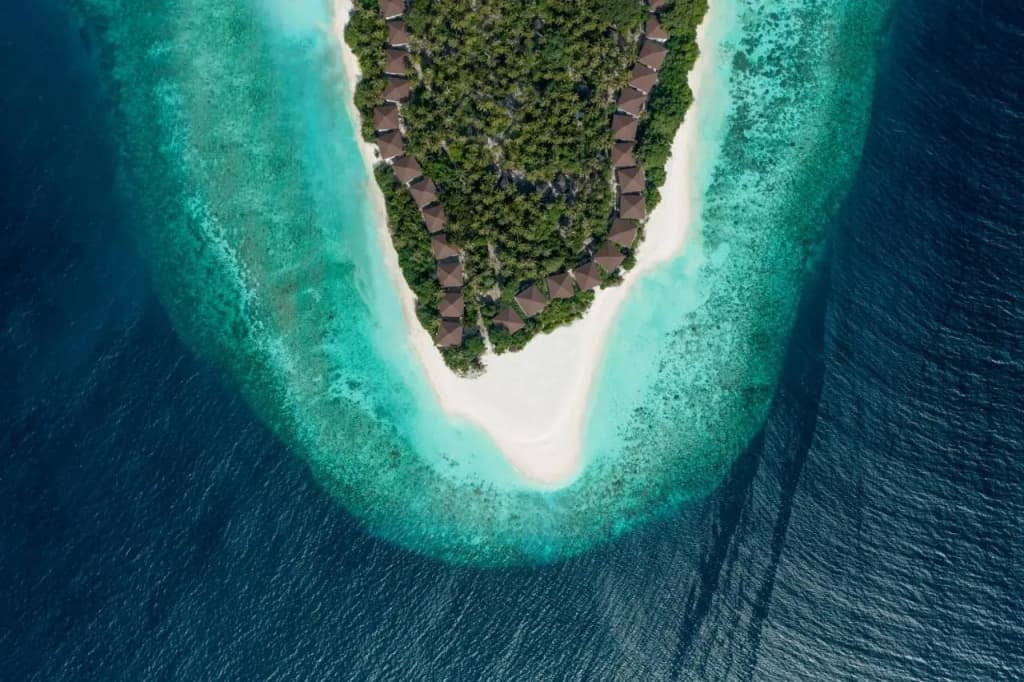 Avani+ Fares Maldives Resort - photo 44