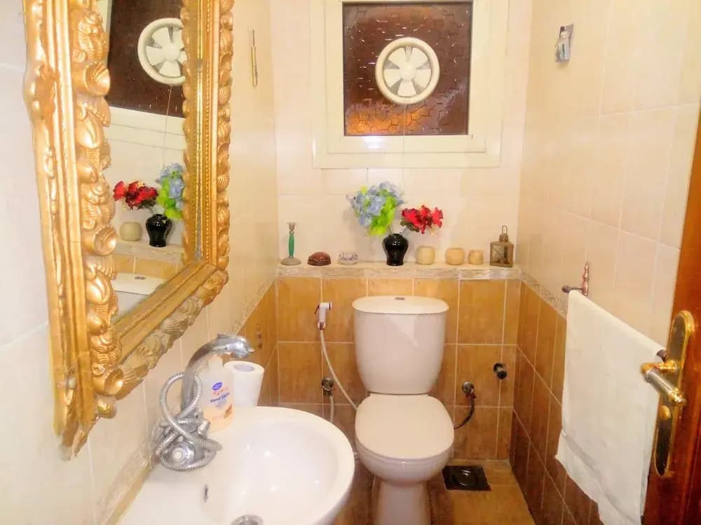 Zahraa Al Maadi Apartment - photo 7