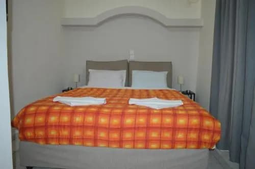 Alvion - photo 16