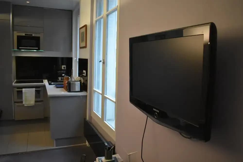 Spacious 1 Bedroom Apartment in Paris 15th - photo 4