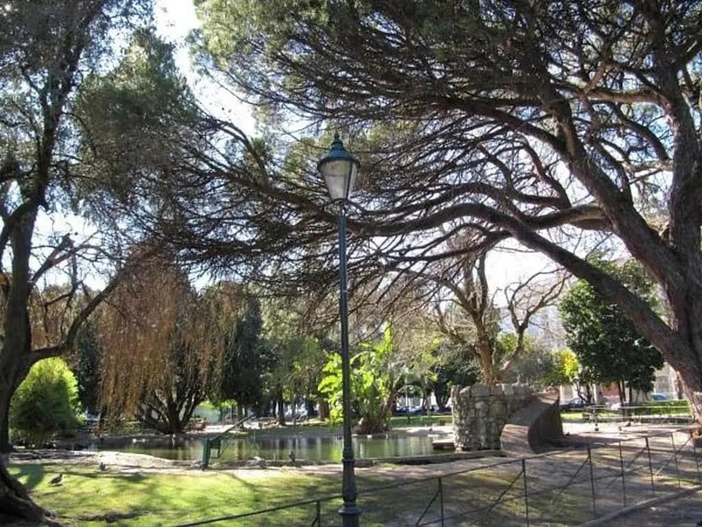 Casa Mia - photo 8