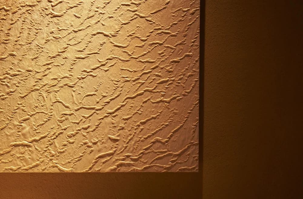 Zen - photo 26