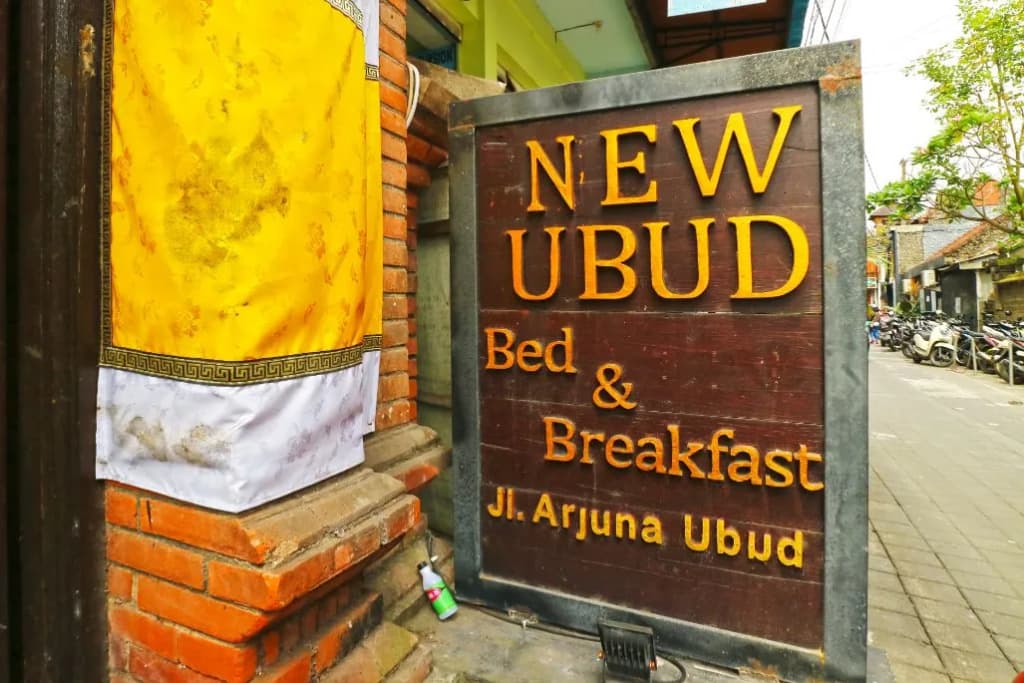 New Ubud Hostel - main photo