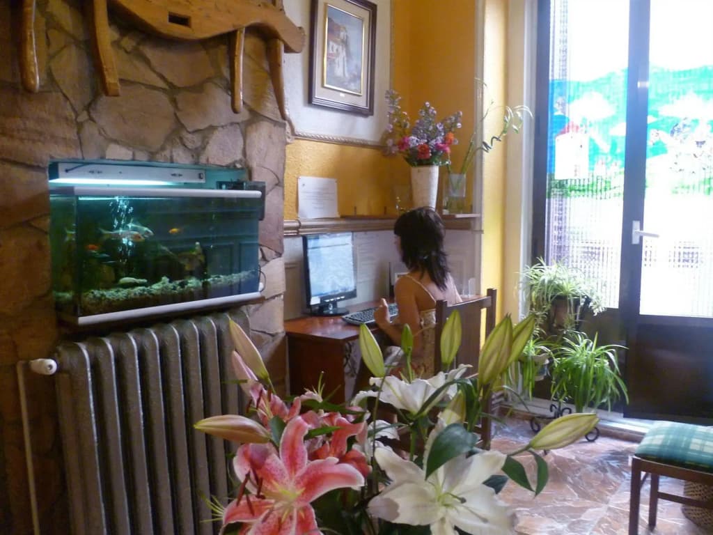 Hostal Esparteros - photo 12