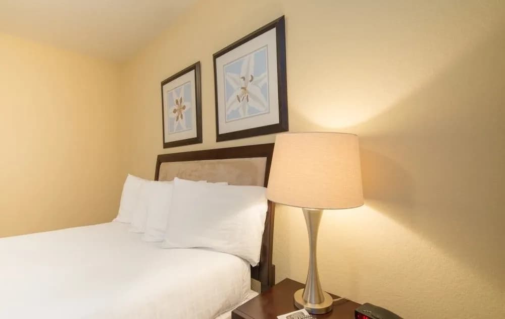 2 Bed 2 Bath Premium l 2004 - photo 4