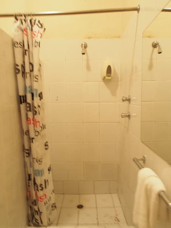 Wynyard Hotel - photo 7