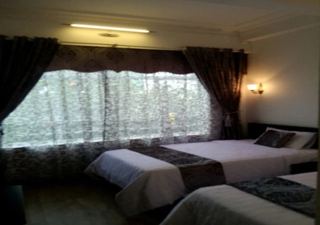 Evelyn Hotel Danang - photo 5