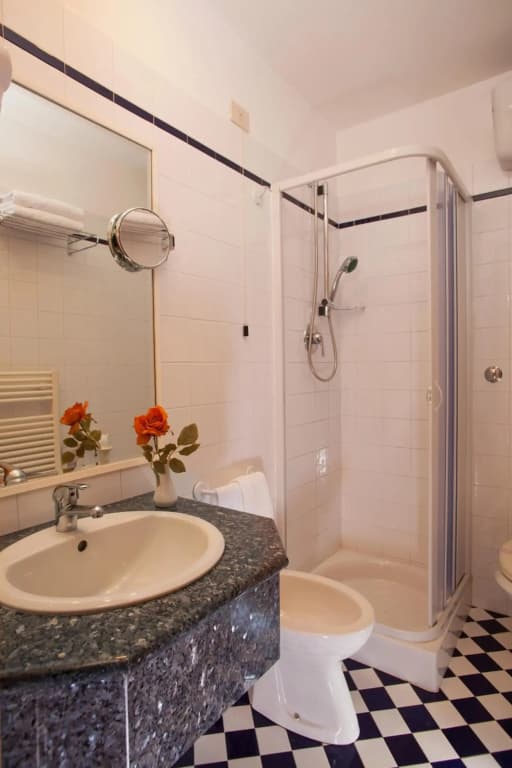 Hotel Piemonte - photo 31