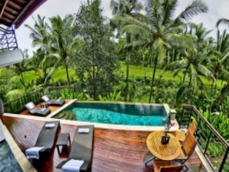 Daysha Ubud - photo 11