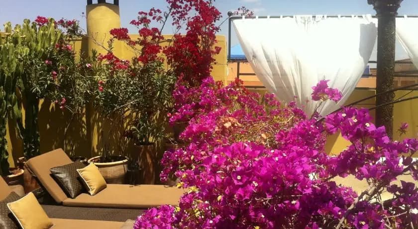Riad 41 - photo 2
