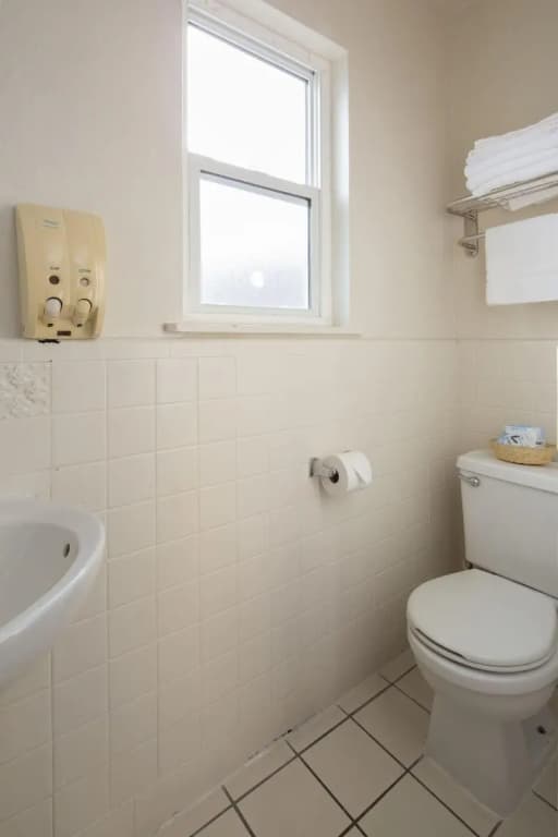 Alpine Inn And Suites - photo 8