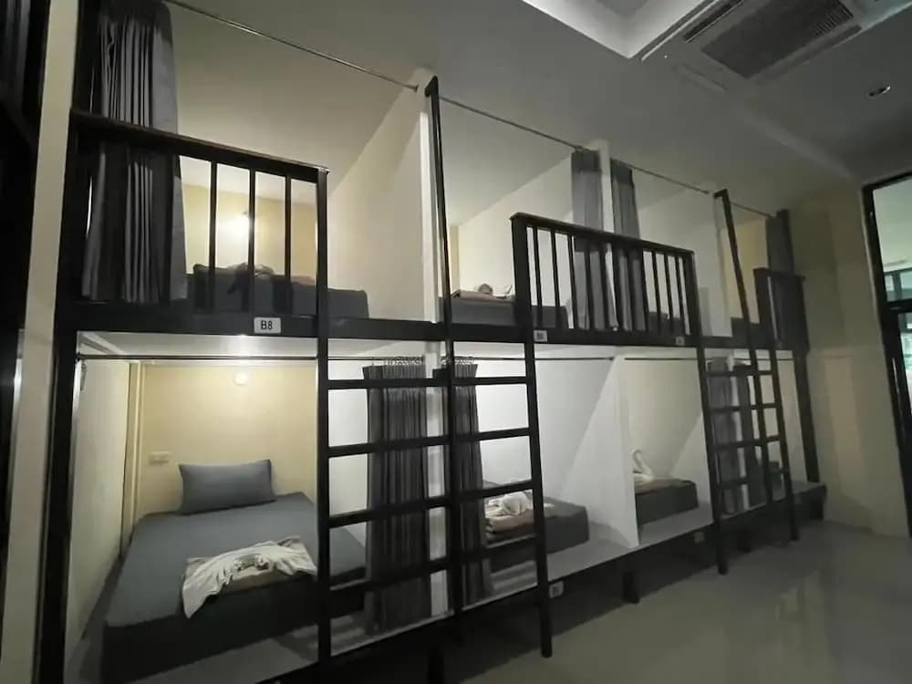 3 Tigers Resort & Hostel - photo 5