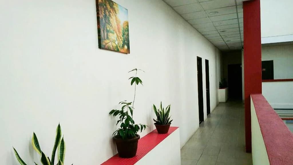 Paretto Seaview Hotel - photo 14
