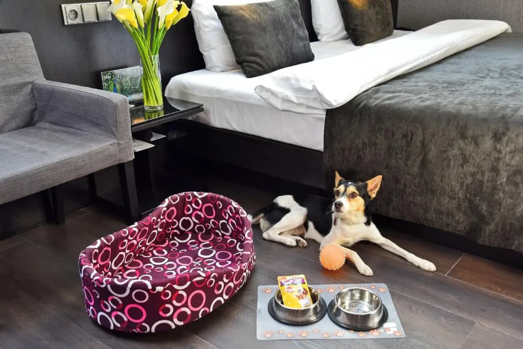 Hotel Ametyst - photo 29