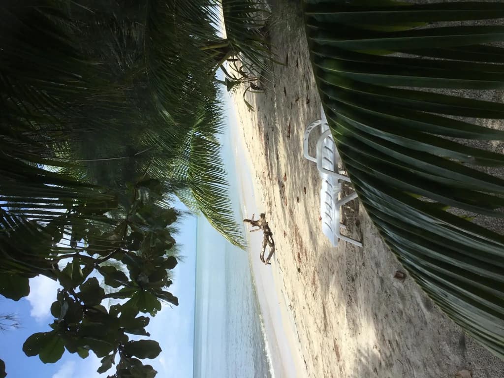 Baan Wasana - photo 8