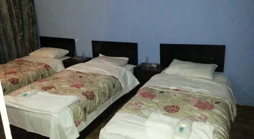 Hostel Tofi - photo 3