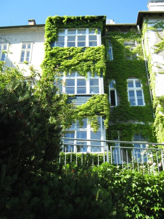Retro Vienna - photo 1