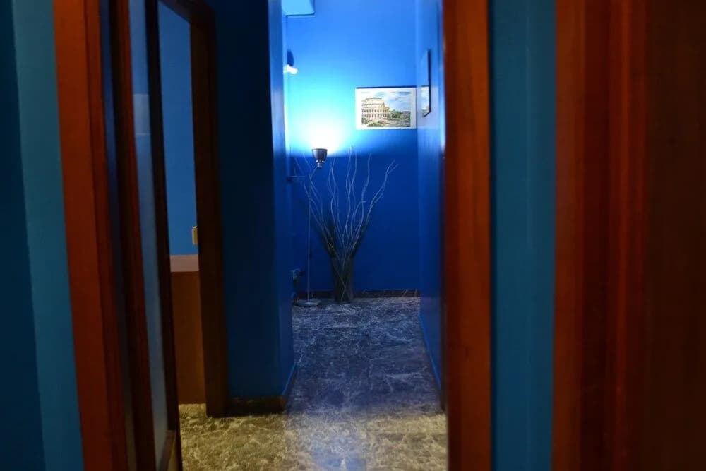 Blue Dream Rome - photo 9