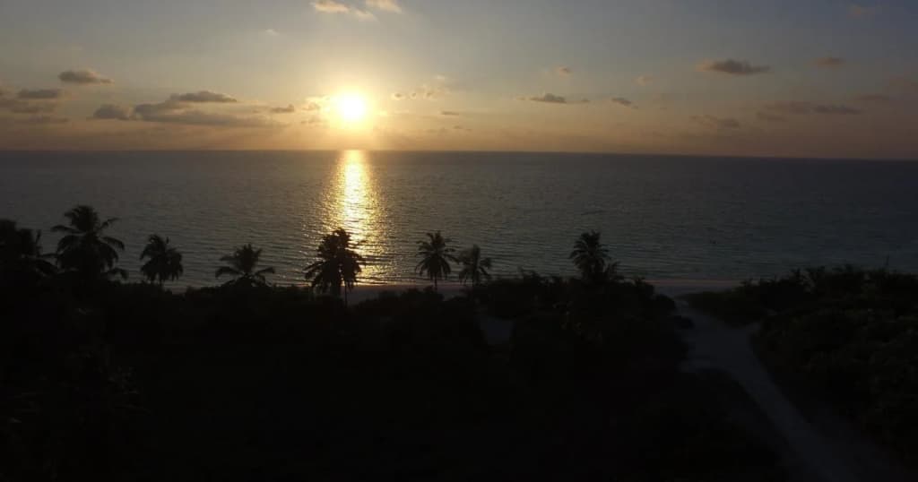 Long Beach Laamu - photo 13