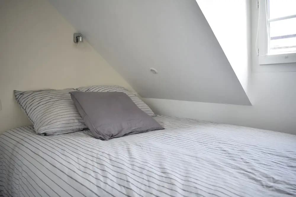 Cosy Renovated 1 Bedroom Apartment in 10th - photo 4