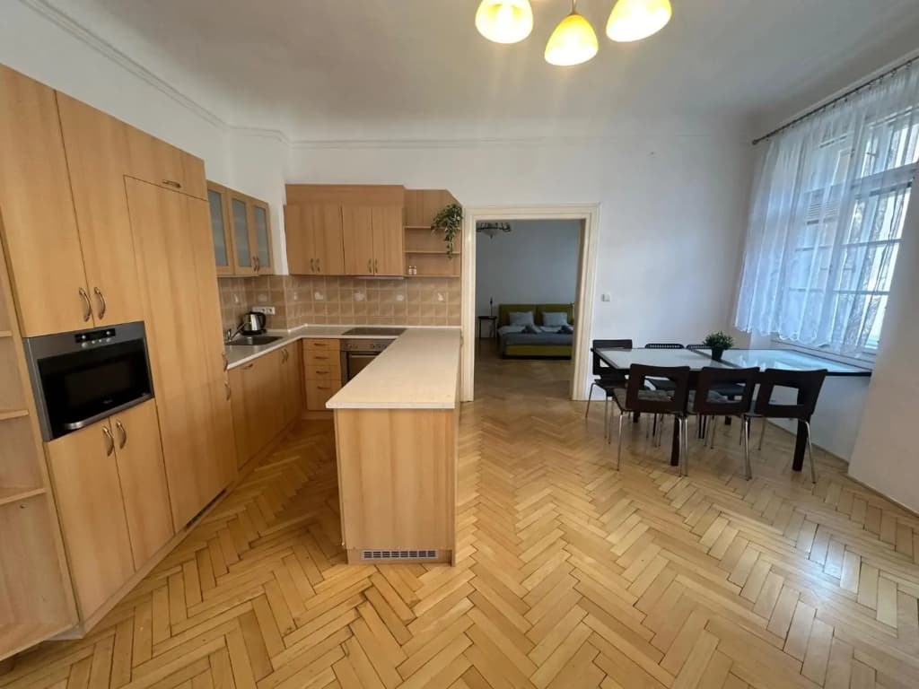 Nerudova Apartments - photo 13