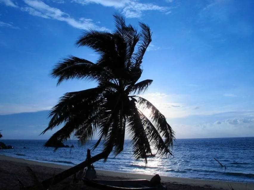 Aguna Resort - photo 6