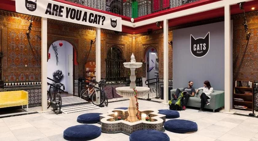 Cat's Hostel - photo 13