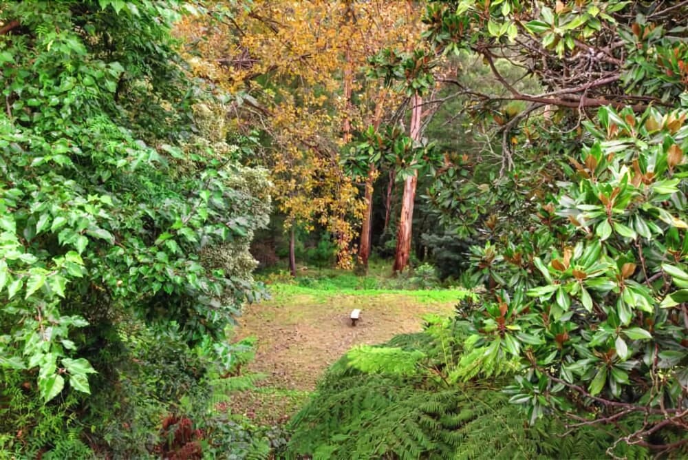 Wildwood Lodge - photo 10