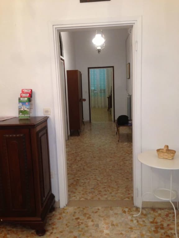 Alex Home - photo 9