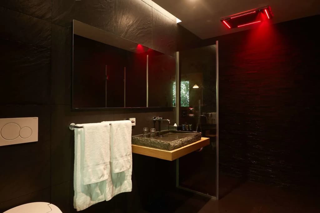 Cabane Hotel - photo 9