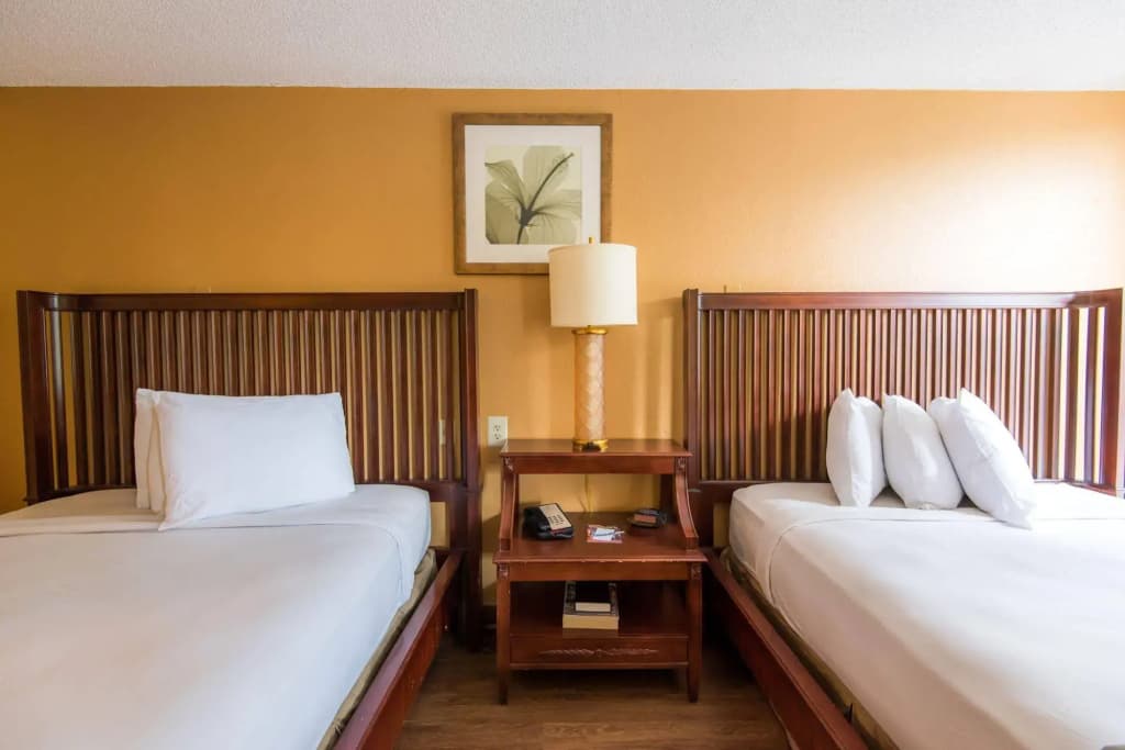 B&B Hotel Orlando International Drive Near Universal - Newly Renovated! - photo 6