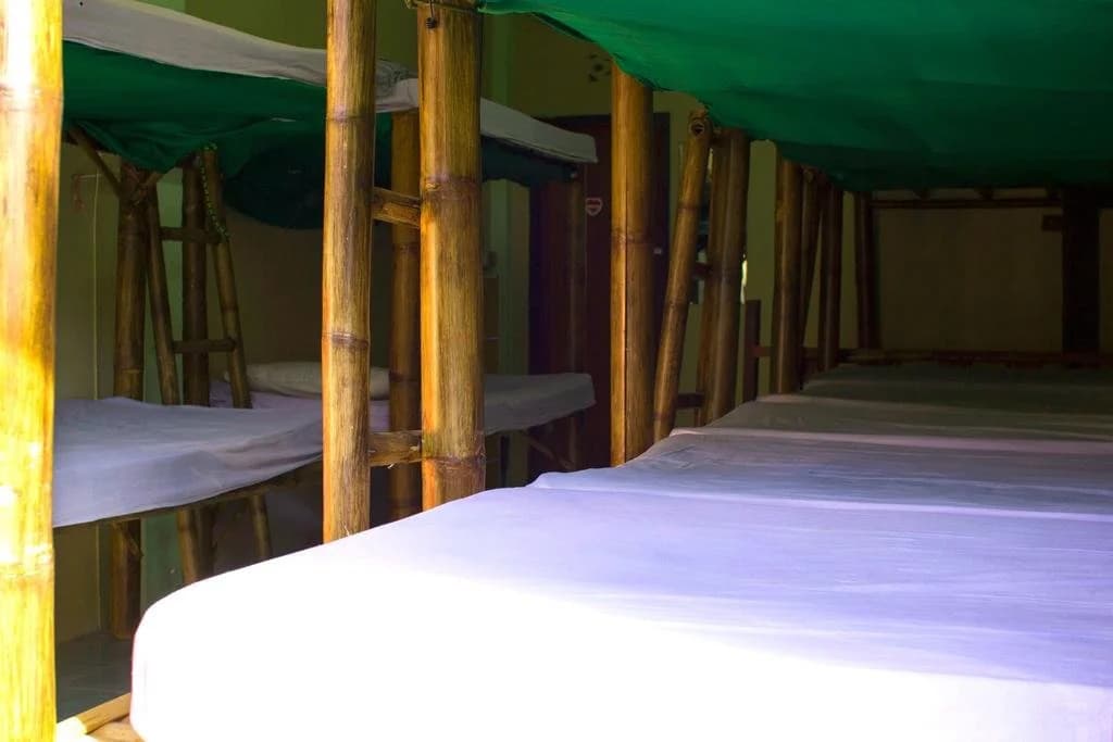 Gallery Dormitory - photo 2