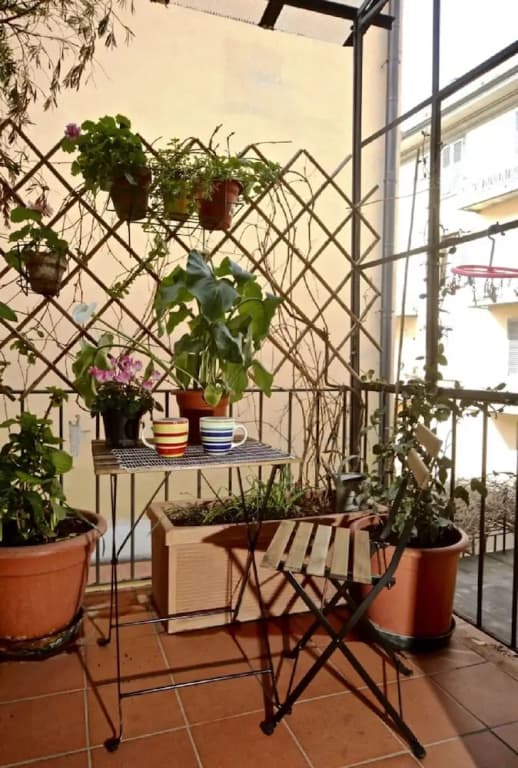 Faenza Novella - photo 7