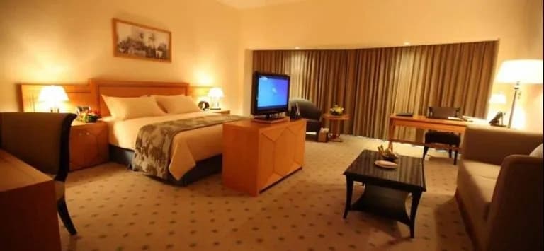 Wiseman Grand Hotel - photo 5