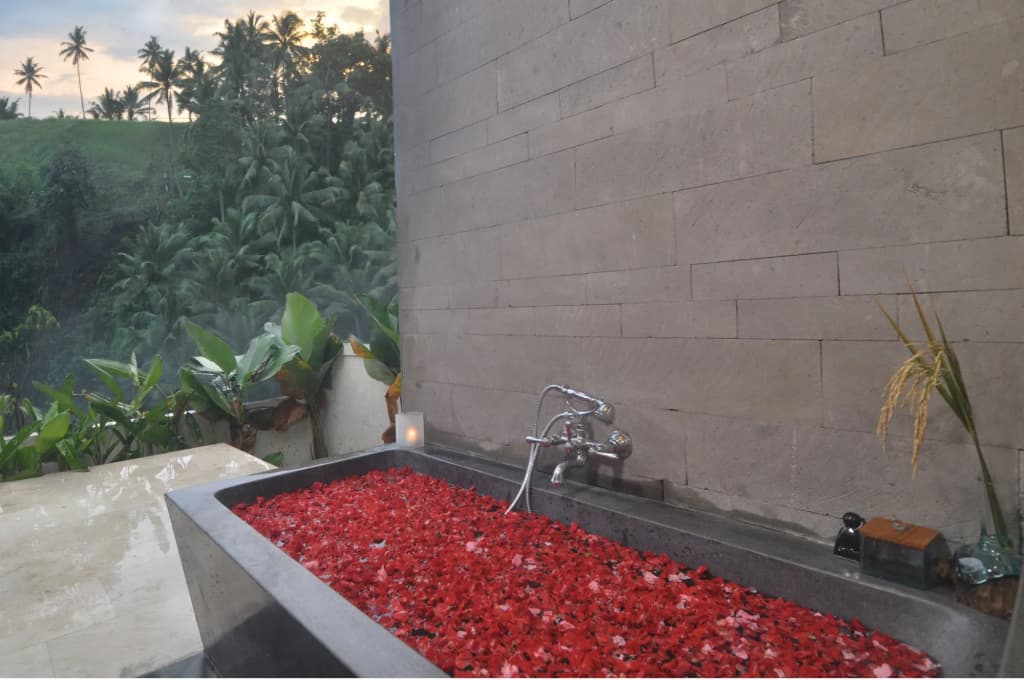 Amora Ubud Boutique Villas - photo 9