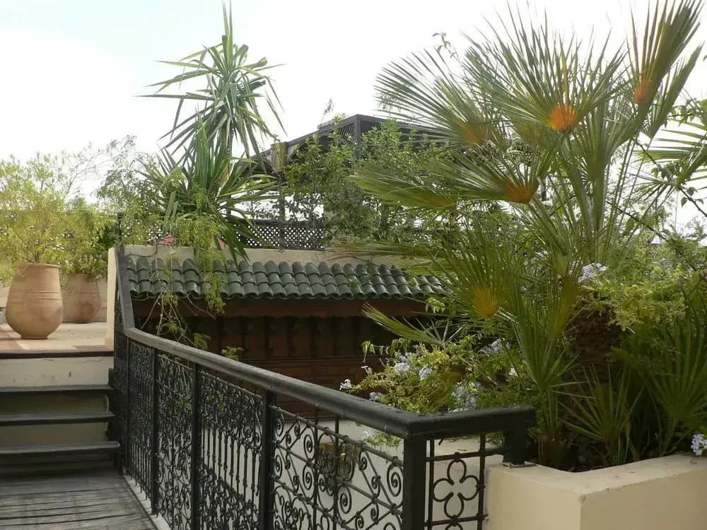 Dar Doukkala Riad & Spa - photo 24