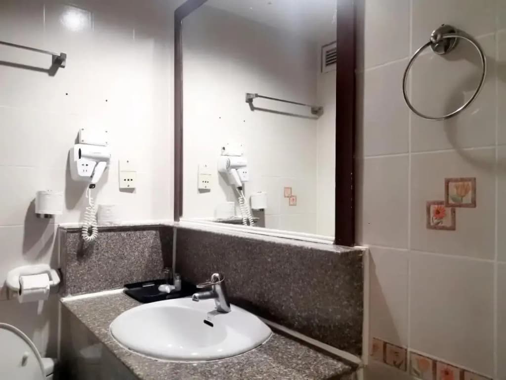Diamond City Hotel - photo 11