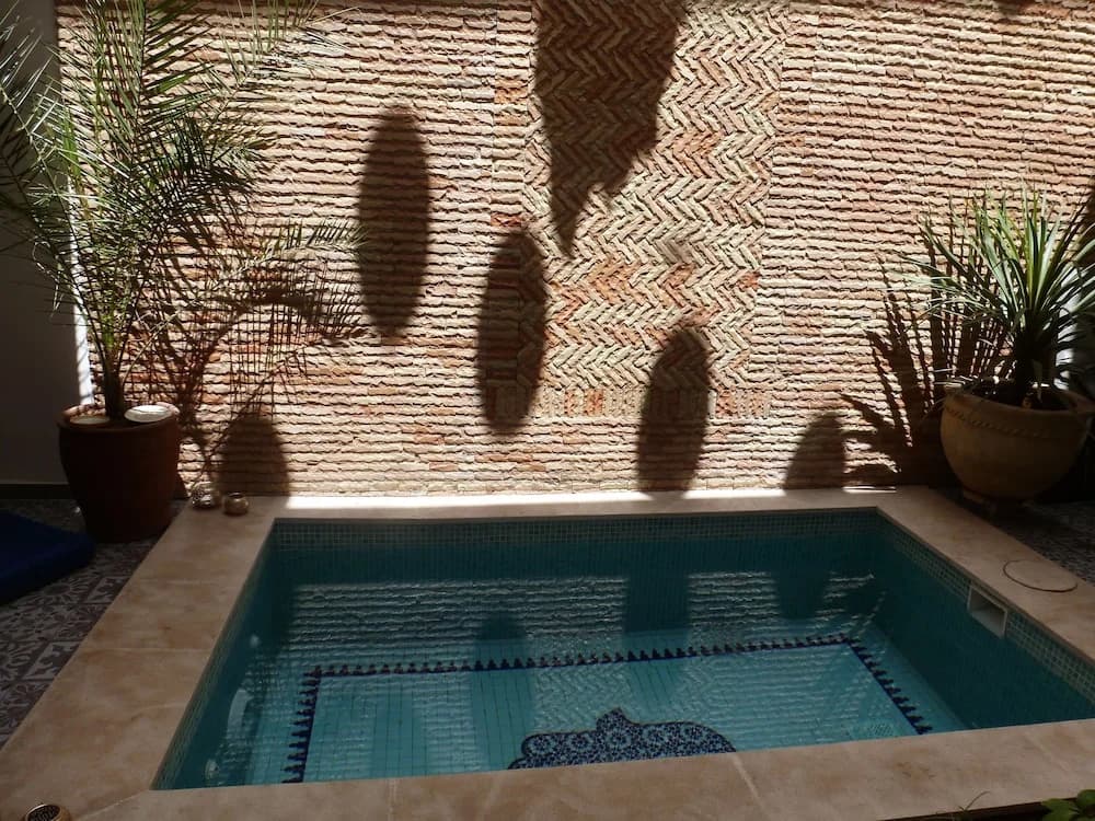 Riad Safina - photo 19