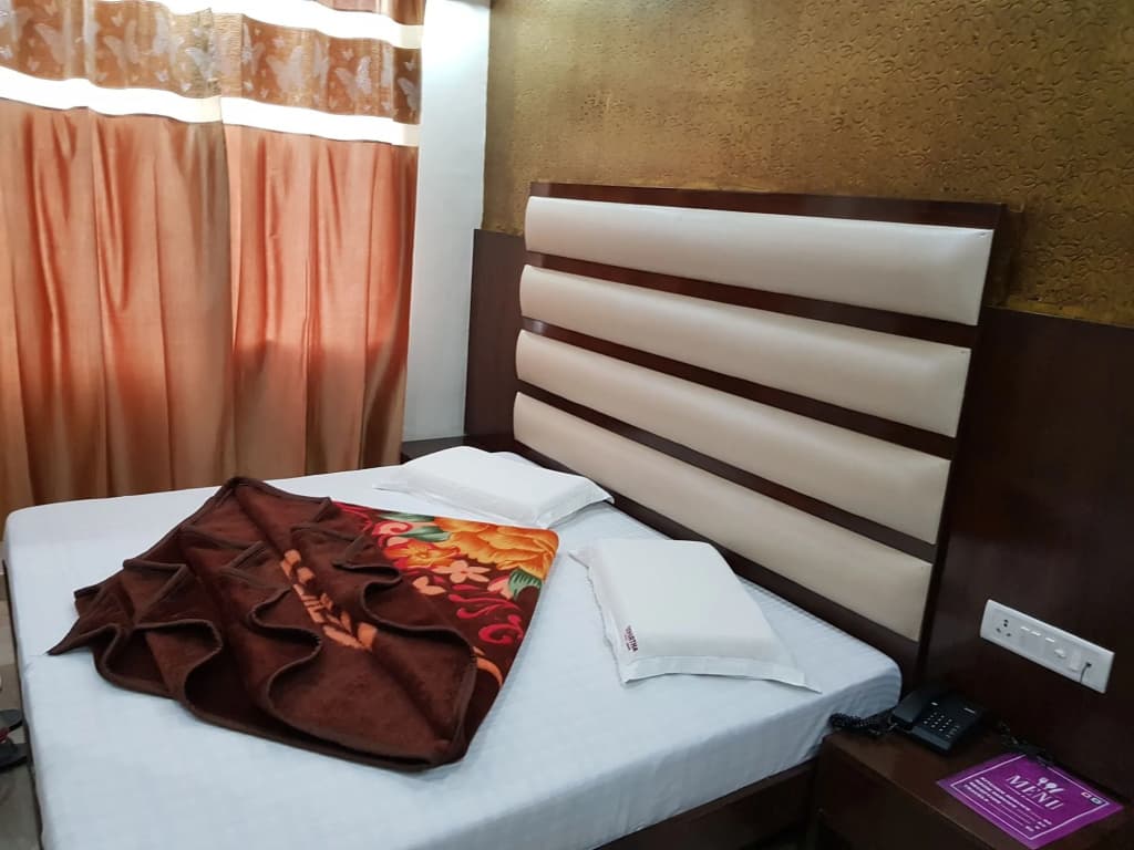 Hotel Amba Deluxe - photo 5