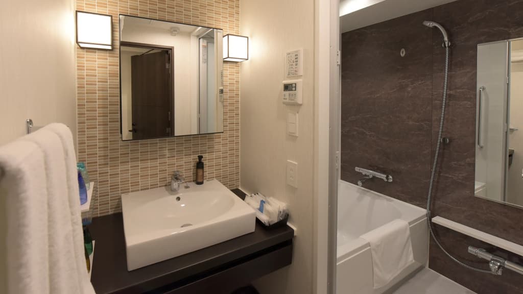 Hotel Brilio Asakusabashi - photo 6