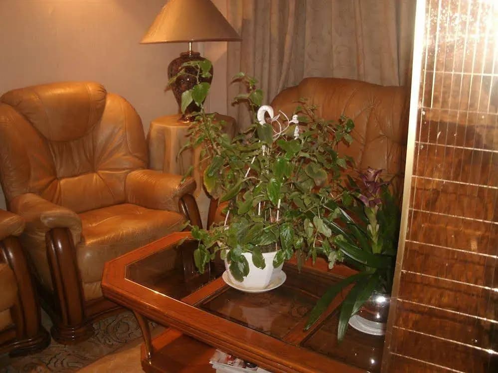 Hotel Saint Pierre - photo 8