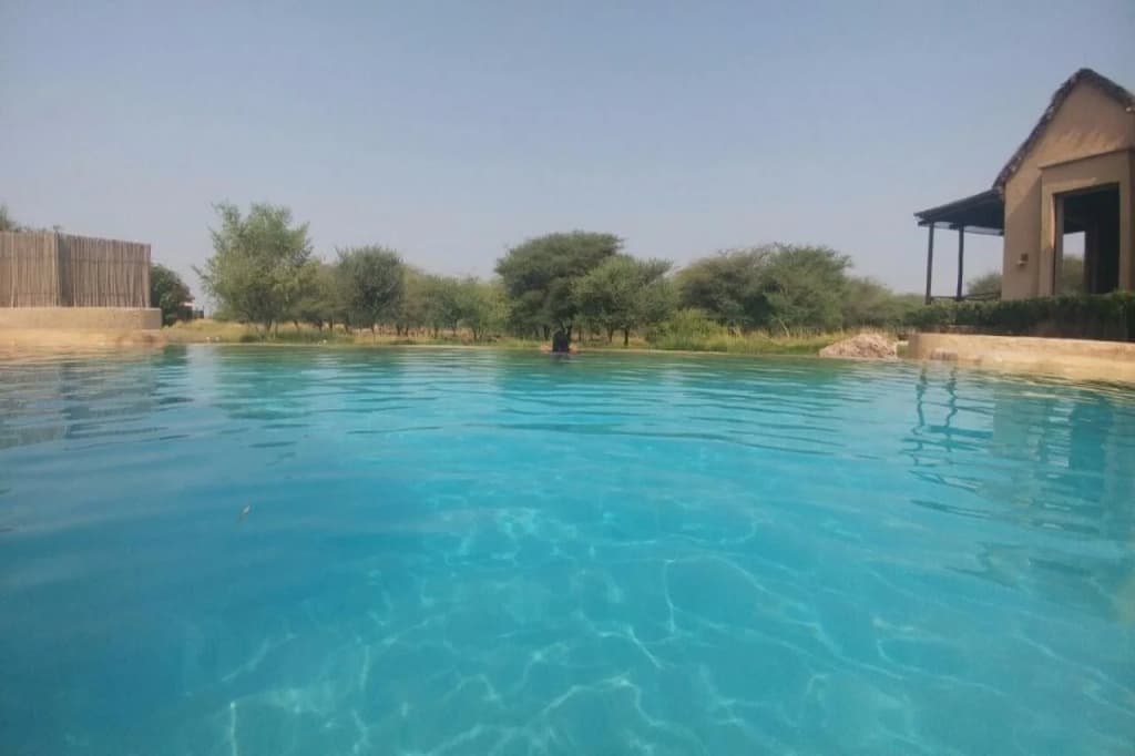 Anantara Sir Bani Yas Island Al Yamm Villa Resort - photo 7