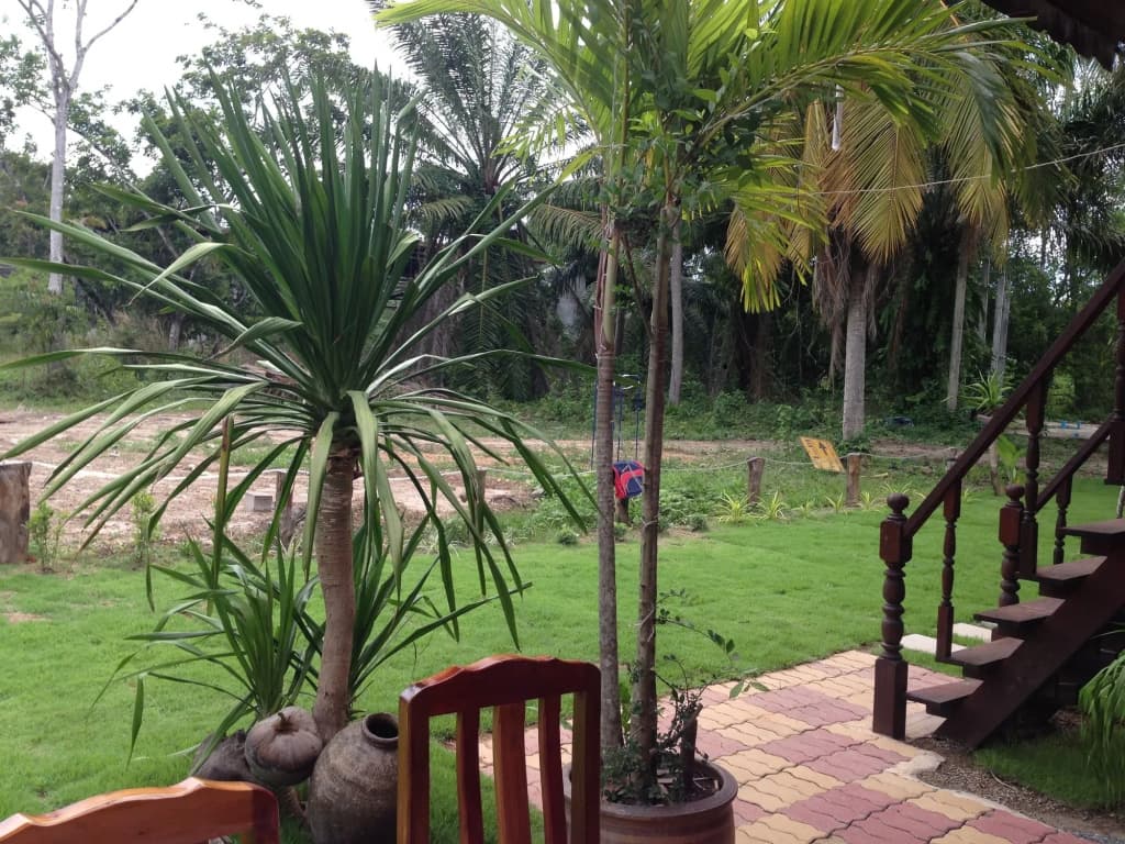 The Lazy Bar And Guesthouse - photo 17