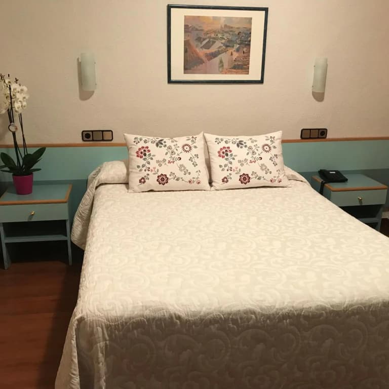 Hotel Pelayo - photo 17