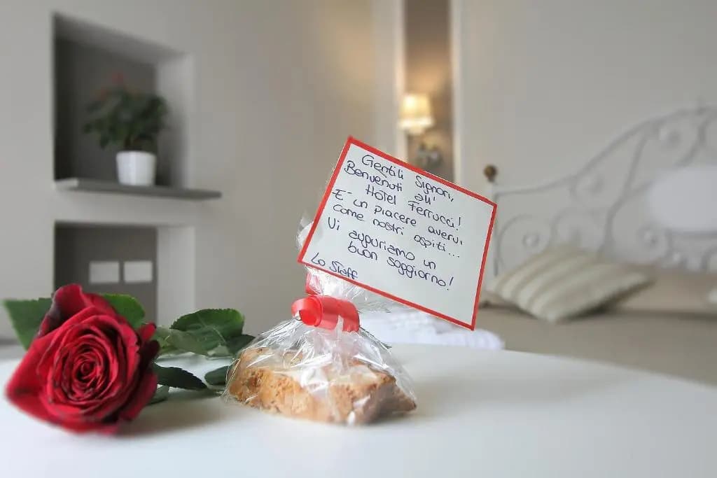 Hotel Ferrucci Firenze - photo 10