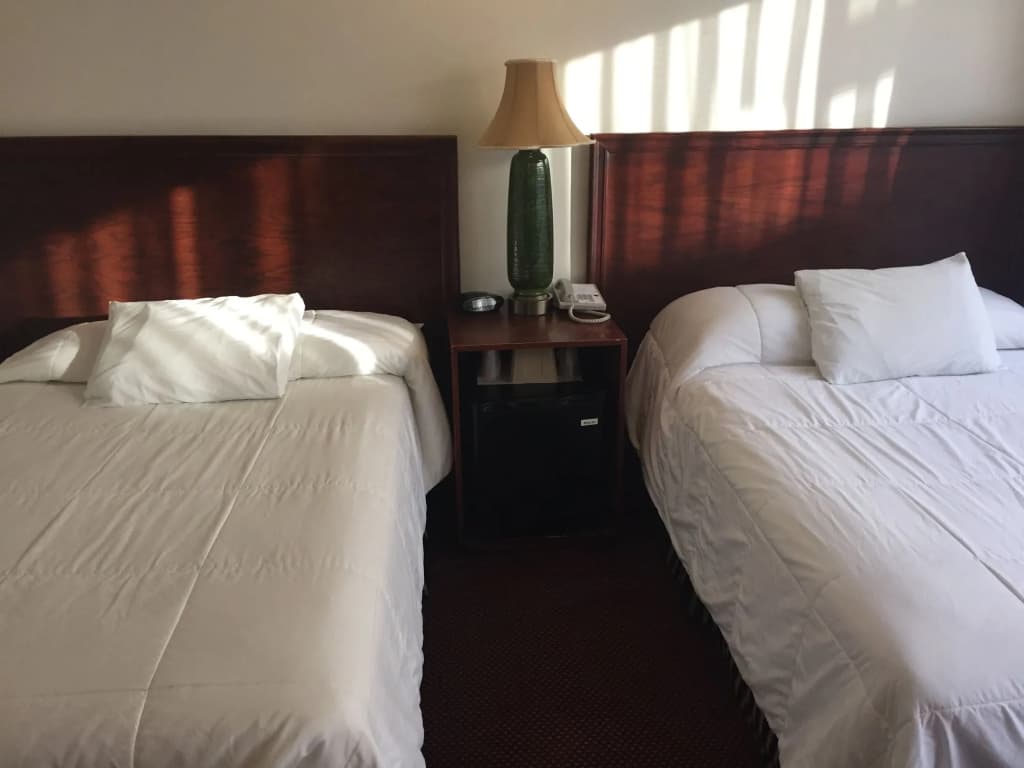 Park Plaza Lodge Hotel - photo 4
