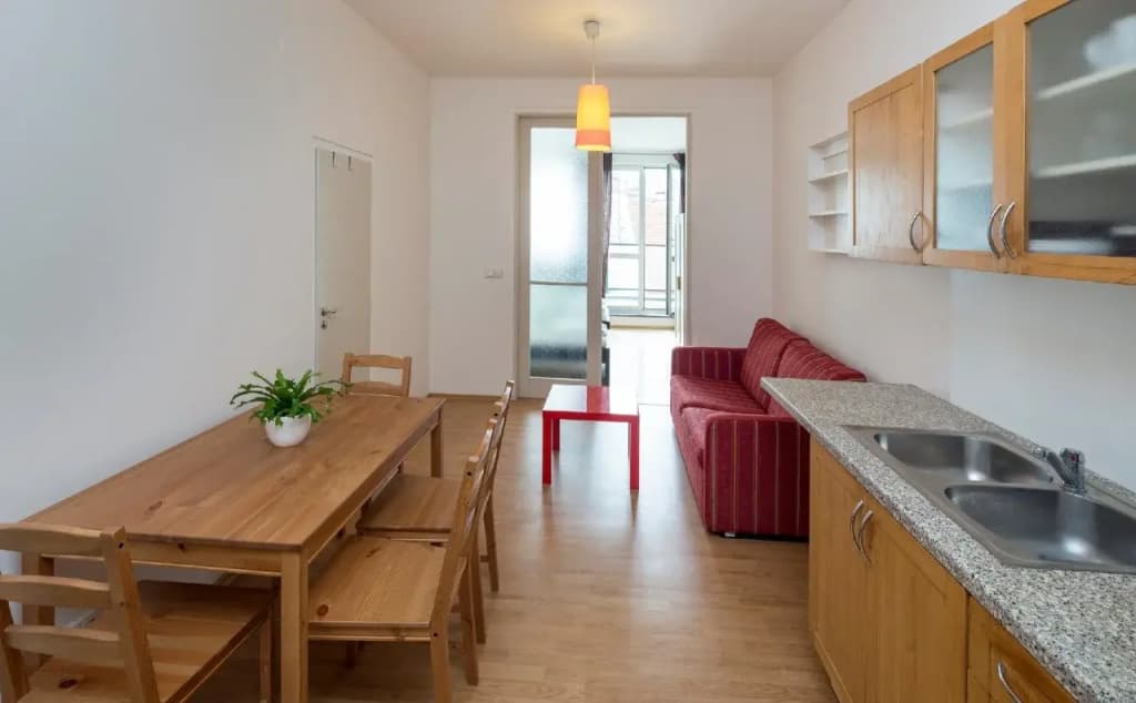 Apartments Wenceslas Square - photo 15
