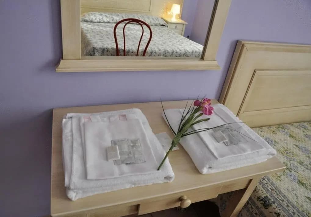 Hotel Regina - photo 6