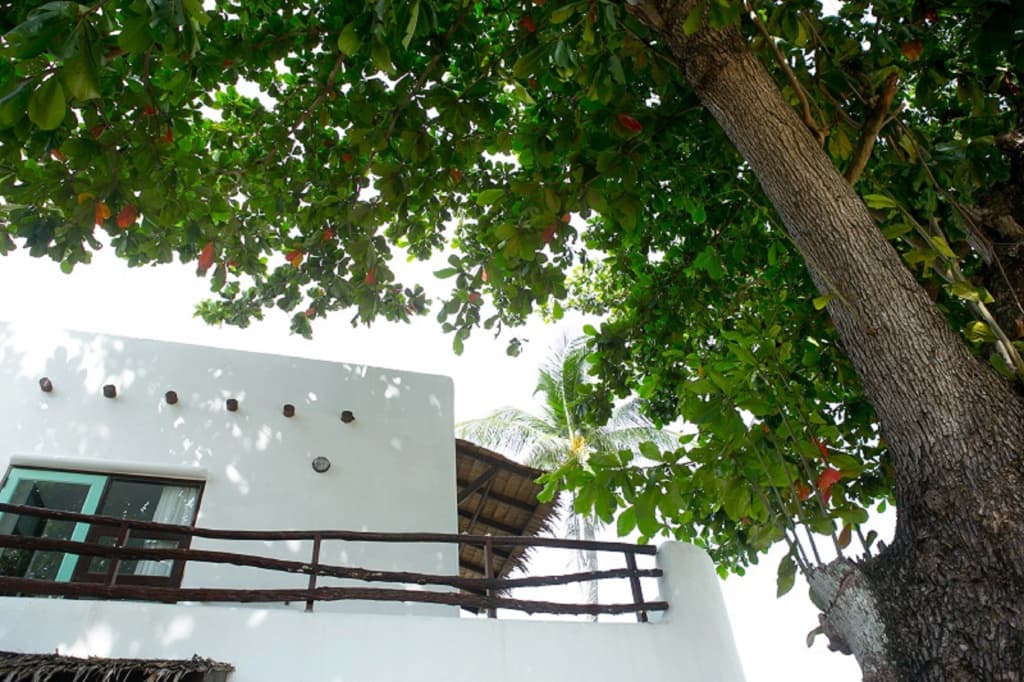 The Hammock Samui Beach Resort - photo 23
