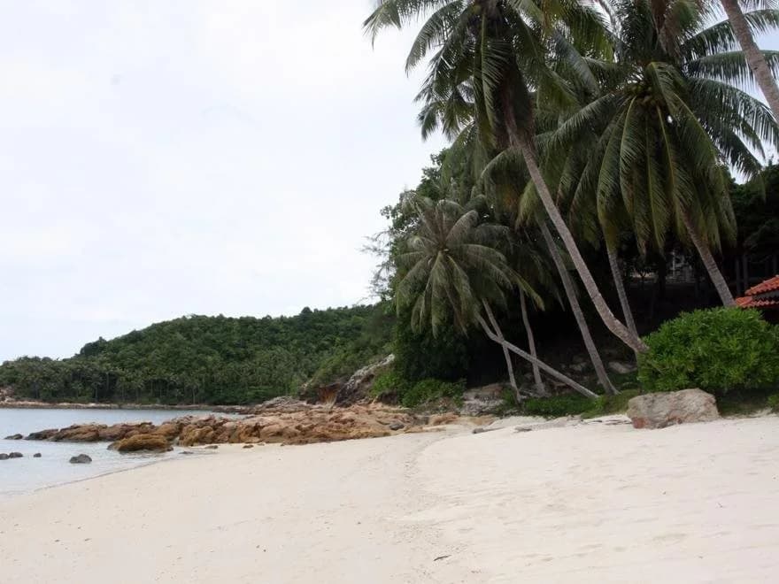 Sibu Island Resort Johor - photo 15
